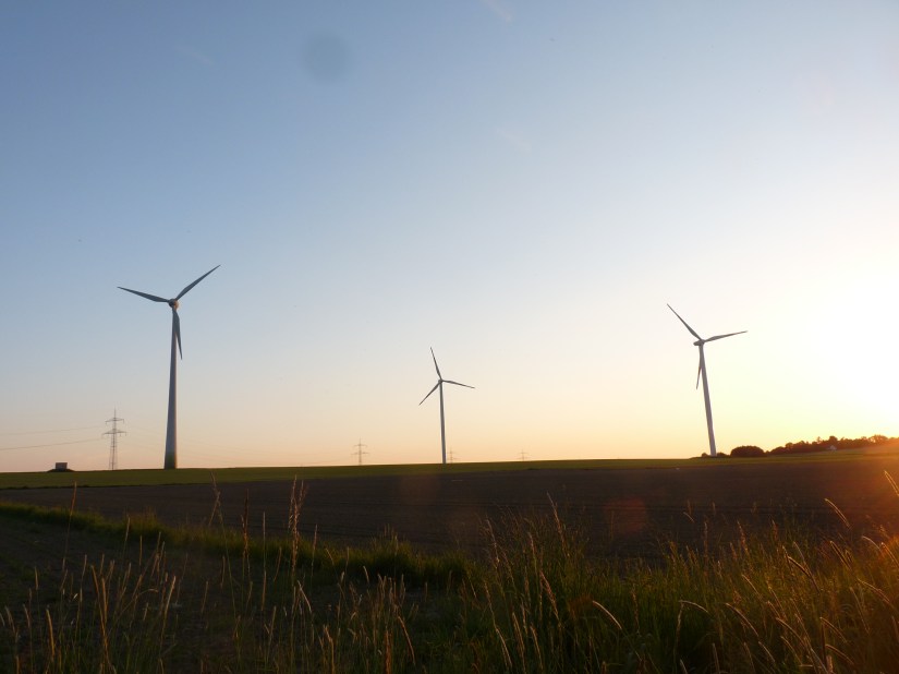 Leopoldshöhe, Hövenstraße 17, May 2018, 4, Hanke
